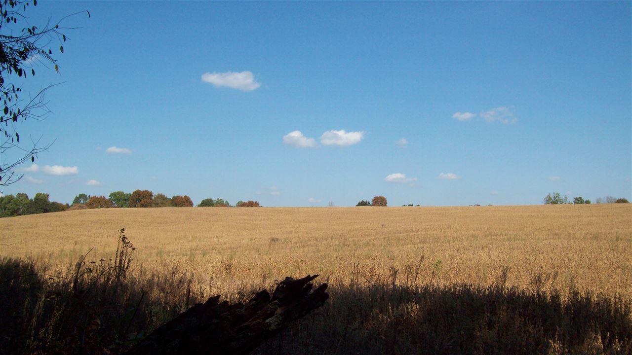 12957 Anneta Road Leitchfield, KY 42754 - Photo 11 of 34 Gallery Image 11