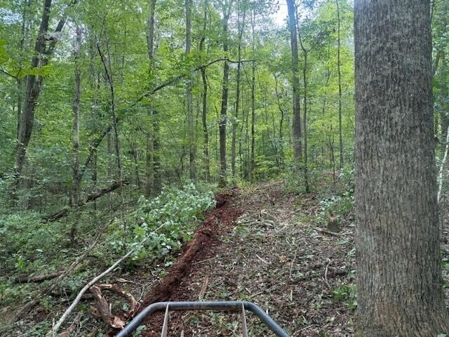 1 Tipple Road Tracy City, TN 37387 - Photo 16 of 21 a view of a garden with trees