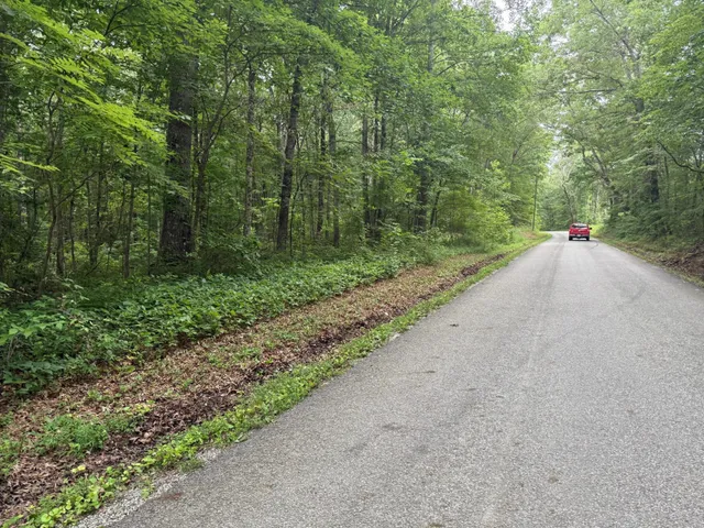 a view of a road with a trees in the background