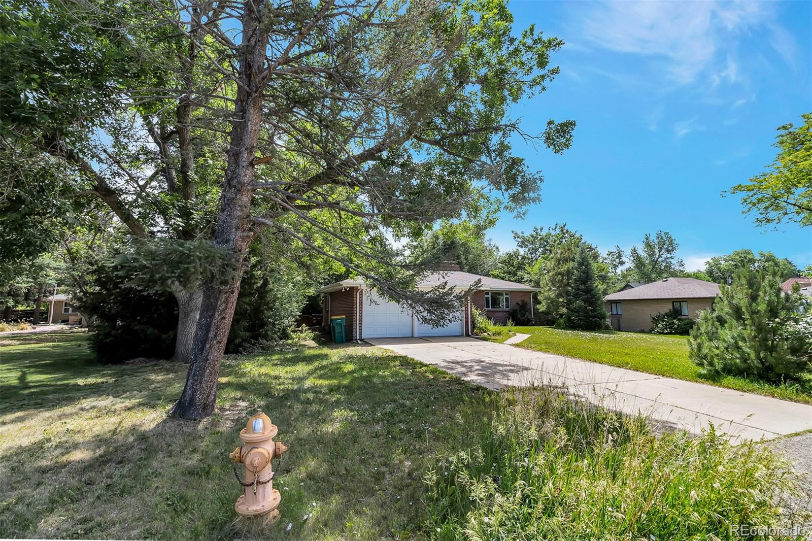 3560 Everett Street Wheat Ridge, CO 80033 - Photo 2 of 10 Gallery Image 2