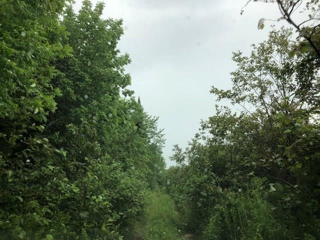 Lt 15-16-2 Lt 15-16-2 Goodwin Road Garland, ME 04939 - Photo 4 of 6 Paths to discover new things at...