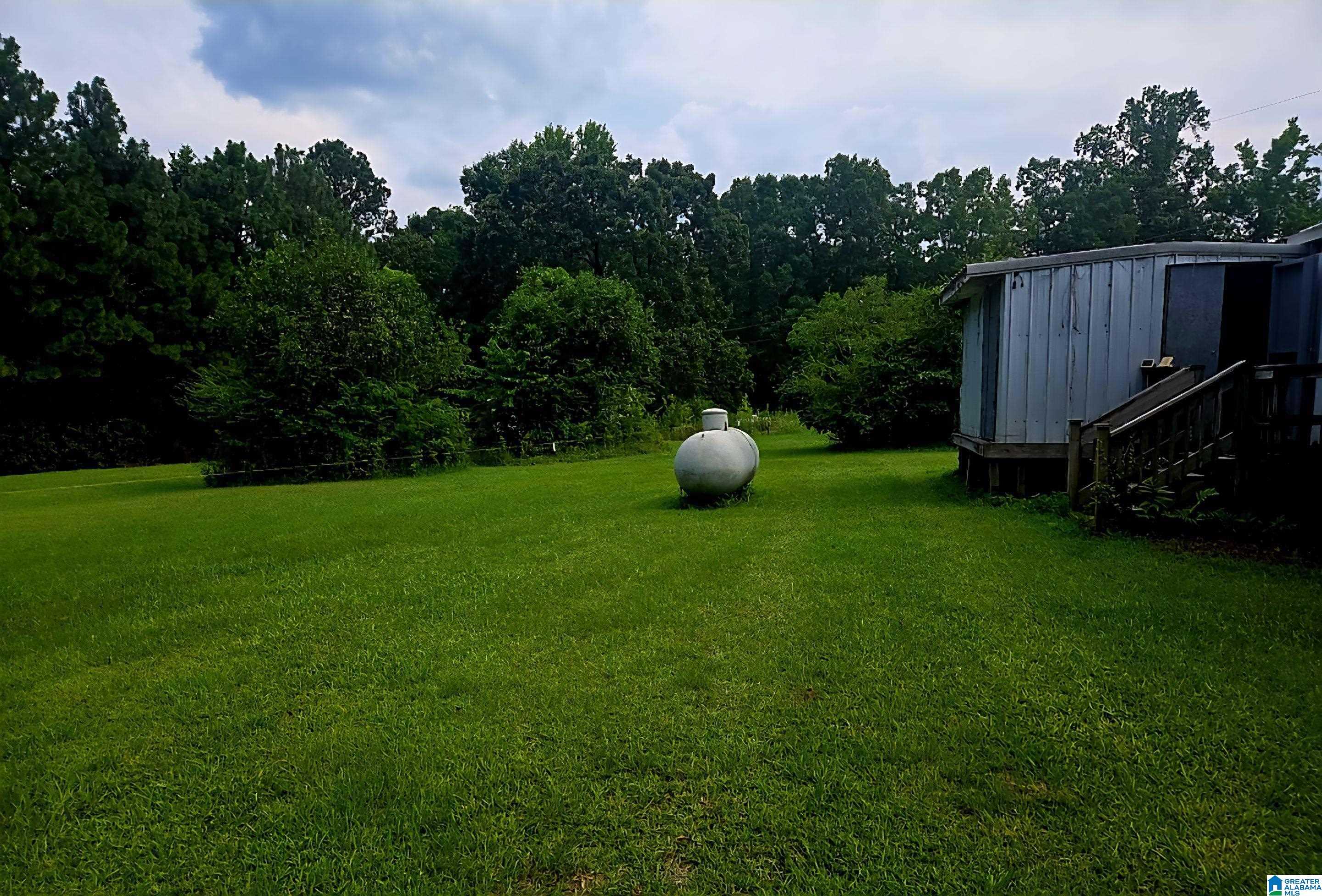 464 Johnny Shipp Road Warrior, AL 35180 - Photo 5 of 14