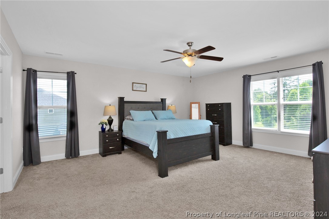 9670 East Reeves Bridge Road Linden, NC 28356 - Photo 18 of 35 a bedroom with a large bed chandelier and a window