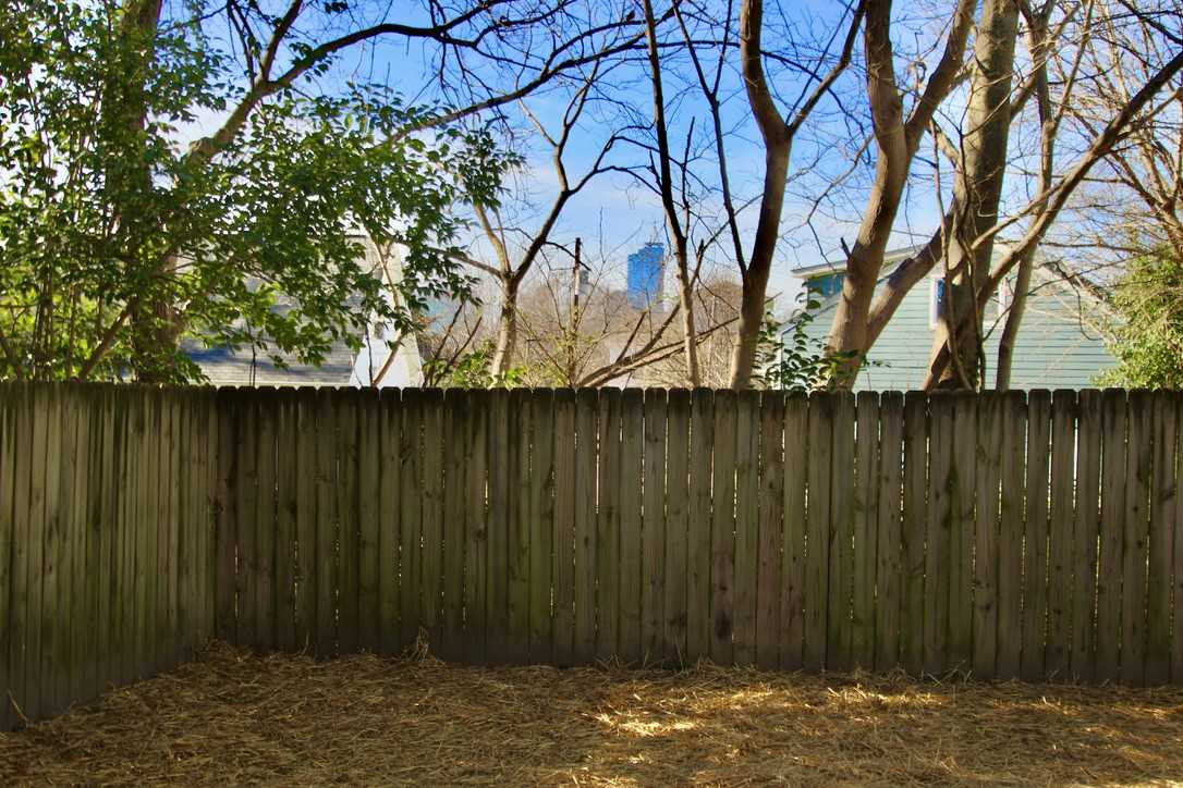 202 Freeman Street Raleigh, NC 27601 - Photo 15 of 15 Photo 15