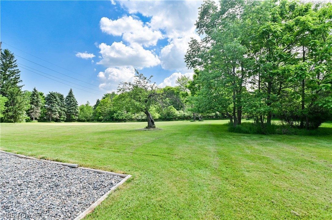 2725 Rockefeller Road Willoughby Hills, OH 44092 - Photo 19 of 21 View of yard