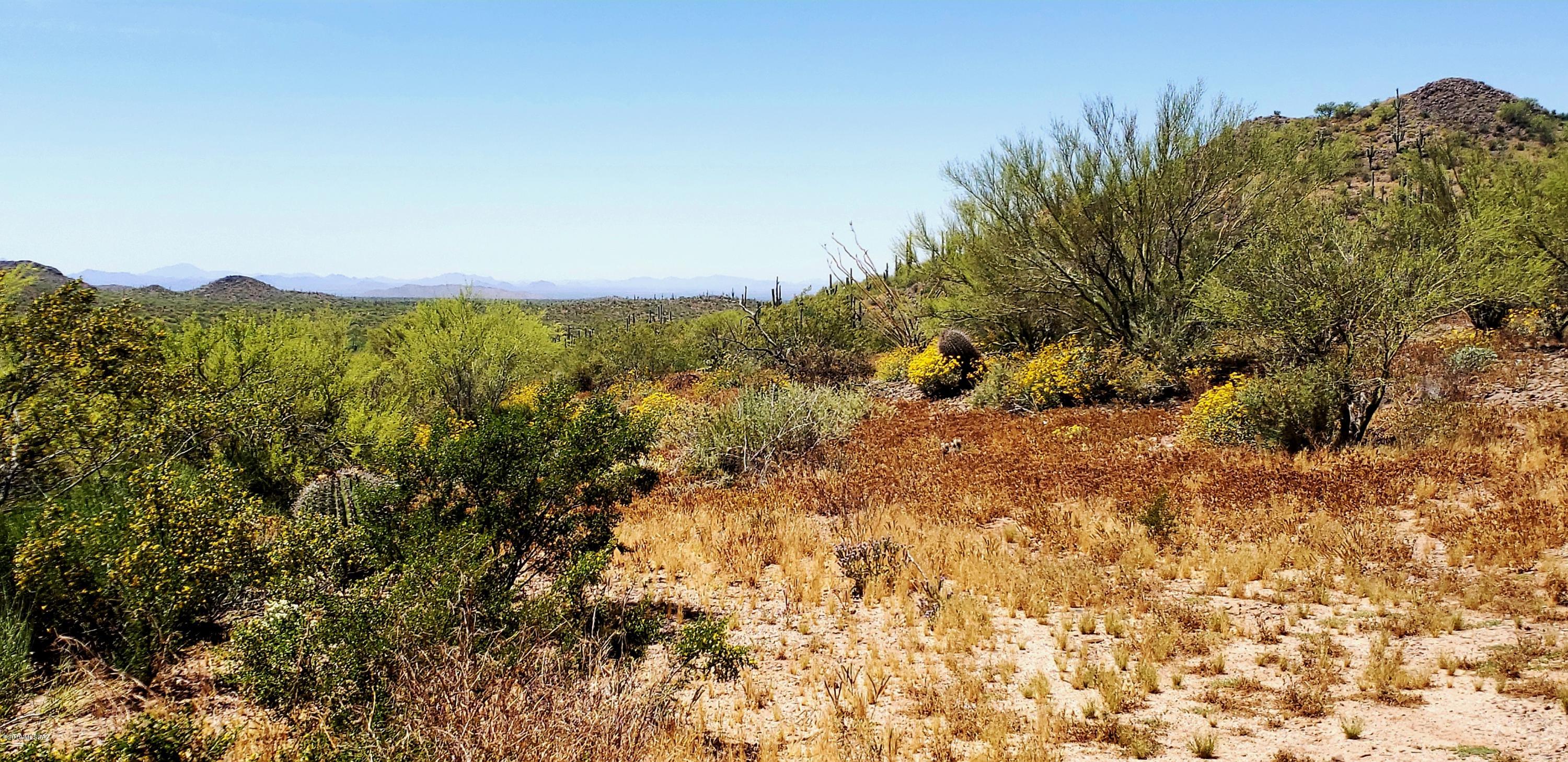 Tbd South Blazed Ridge Road, Unit C2 Tucson, AZ 85739 - Photo 6 of 37