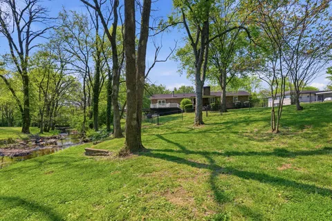 a view of a house with backyard and a tree