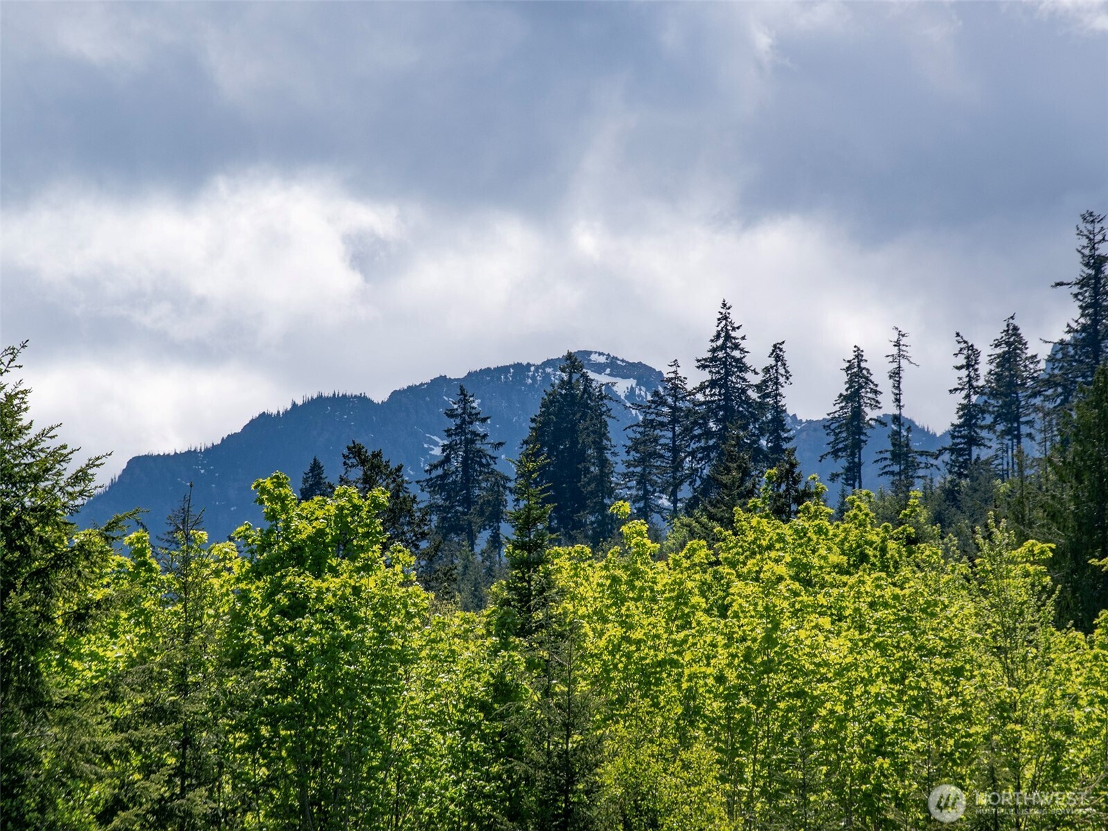 9999 Kruse Road Port Angeles, WA 98362 - Photo 18 of 39