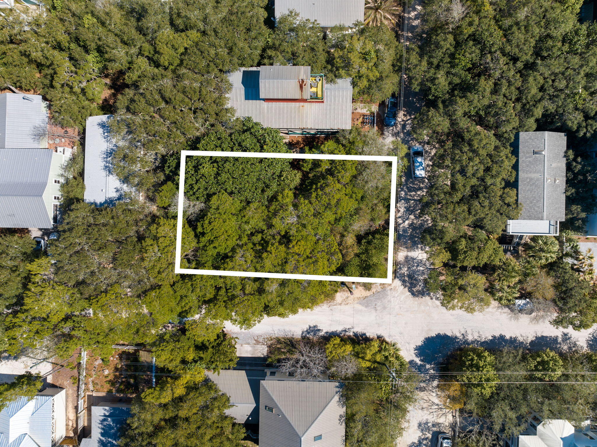 Lot 12 West Grove Avenue Santa Rosa Beach, FL 32459 - Photo 6 of 8 a picture of a tree with a yard