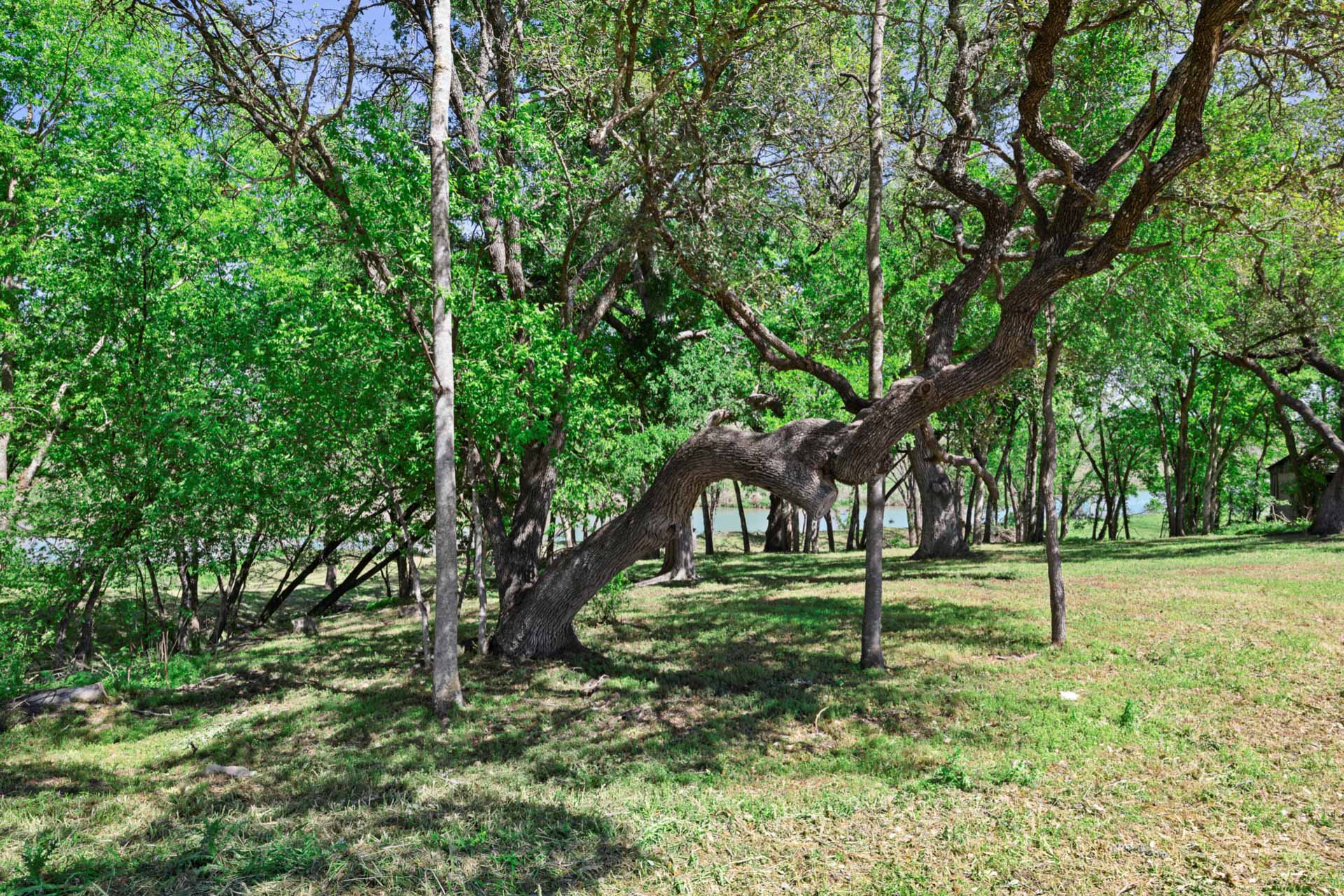 571 Ranch Road 1 Stonewall, TX 78671 - Photo 13 of 21 View of yard