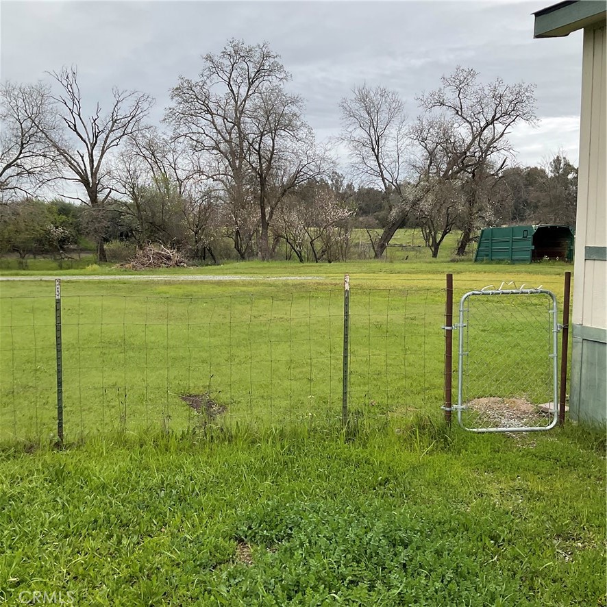 2804 Kirkwood Road Corning, CA 96021 - Photo 3 of 10 a view of outdoor space with green field and trees