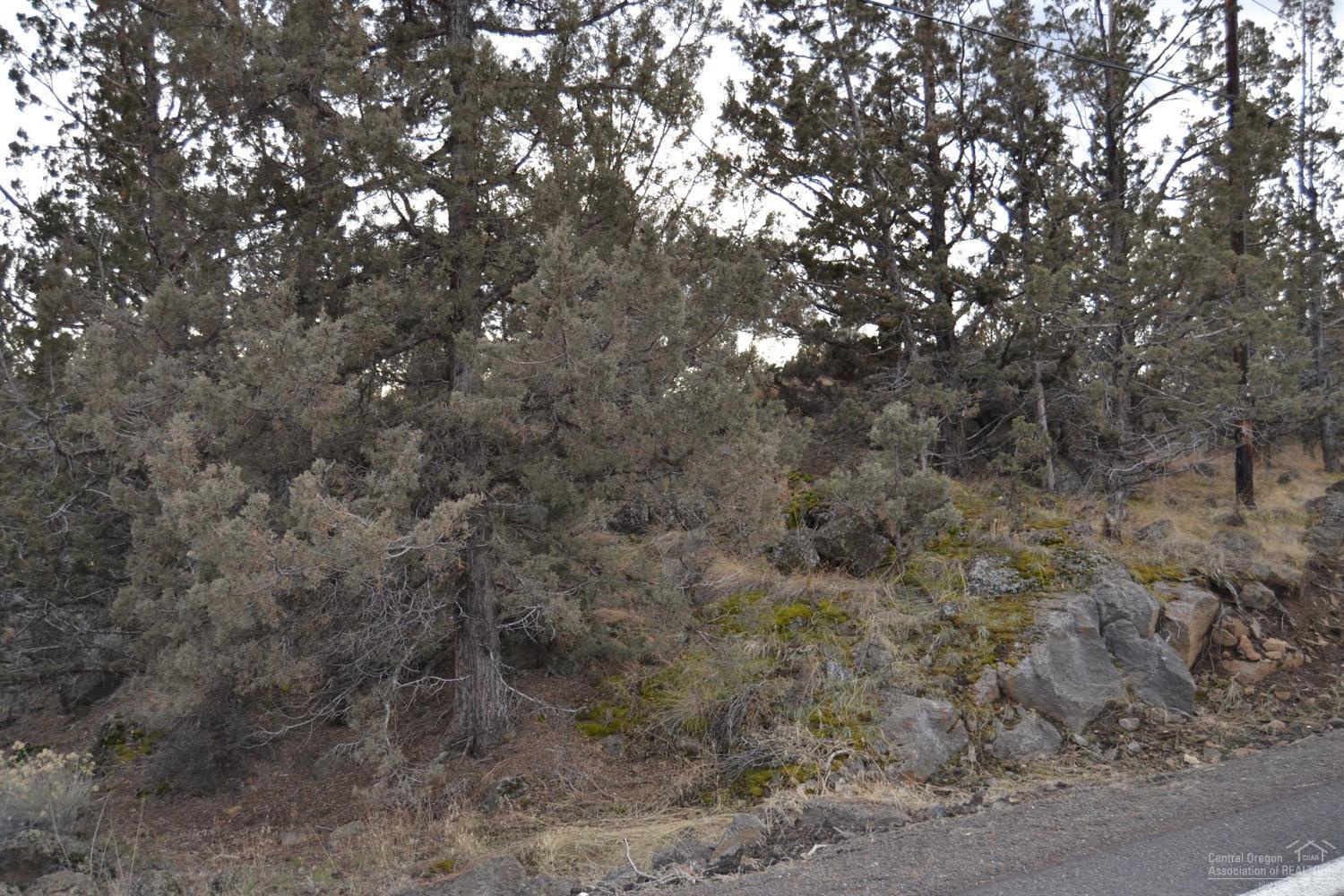 22085 Neff Road Bend, OR 97701 - Photo 2 of 12 Additional Photo