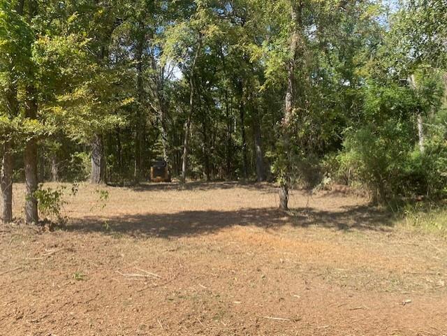 Lot 7-r-1 North Rd Leesburg Tx 75451 Road Leesburg, TX 75451 - Photo 3 of 5