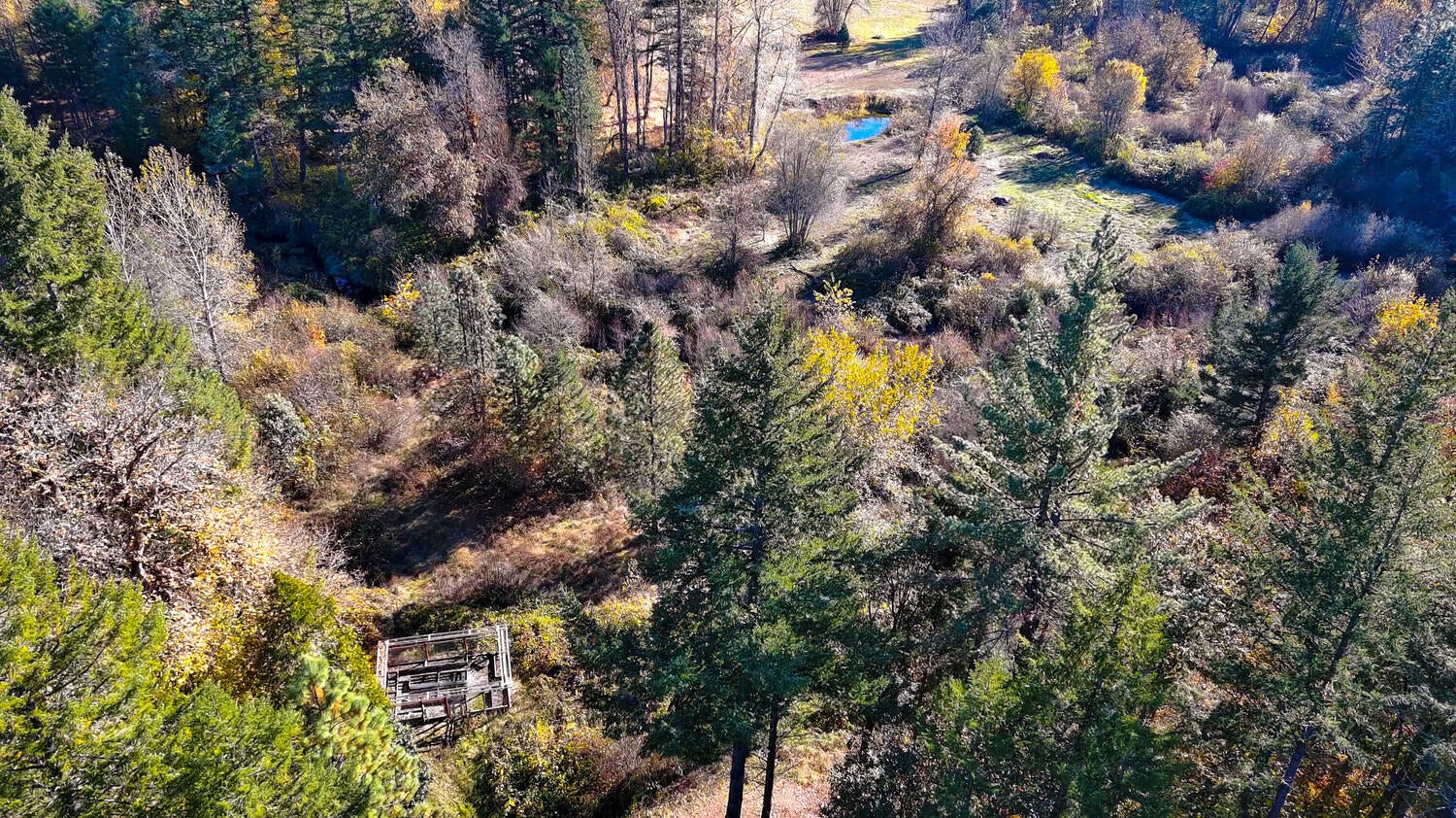 3700 Pleasant Creek Road Rogue River, OR 97537 - Photo 9 of 77 09_PC_9_mls