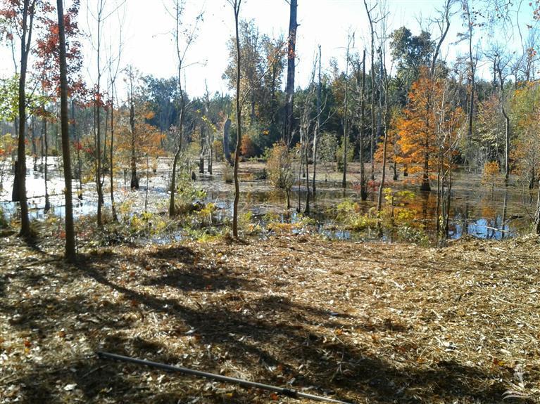 1584 Blockhouse Road Bolivia, NC 28422 - Photo 4 of 10 Additional Photo