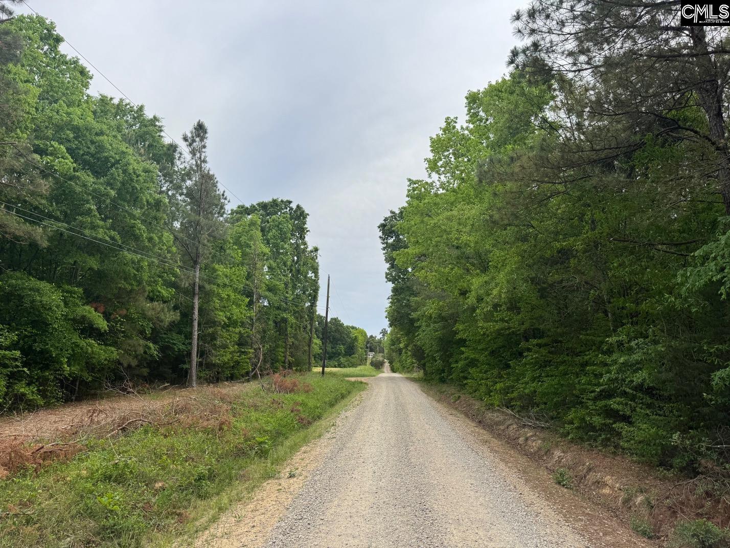 0 Sumpter Road Johnston, SC 29832 - Photo 4 of 8