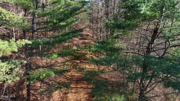 $39,000 | L12 Rebel Ridge Road, Jefferson, NY 12093