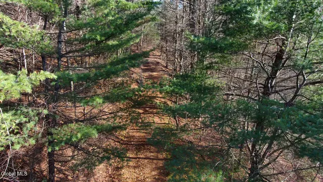 $39,000 | L12 Rebel Ridge Road, Jefferson, NY 12093