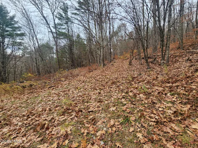 $39,000 | L12 Rebel Ridge Road, Jefferson, NY 12093