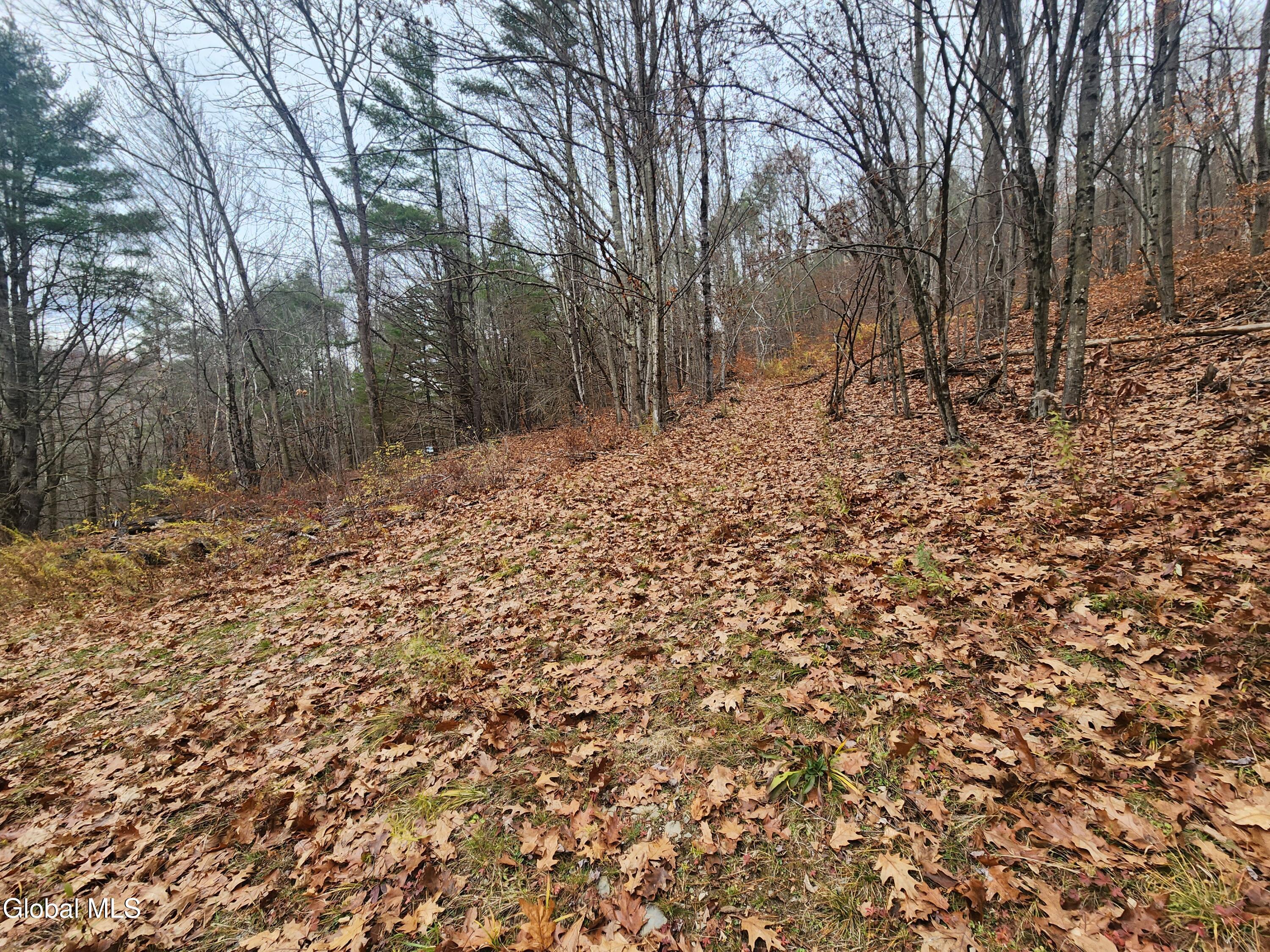 L12 Rebel Ridge Road Jefferson, NY 12093 - Photo 11 of 33 20251107_125237