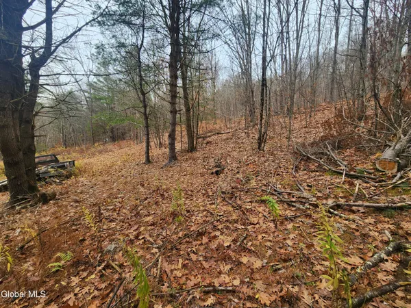 $39,000 | L12 Rebel Ridge Road, Jefferson, NY 12093