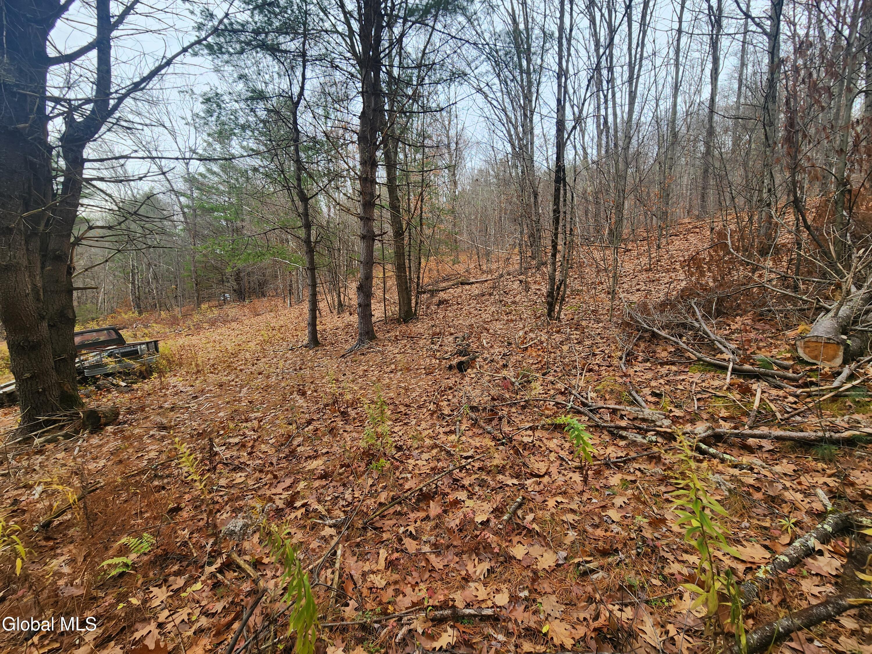 L12 Rebel Ridge Road Jefferson, NY 12093 - Photo 12 of 33 20251107_125300