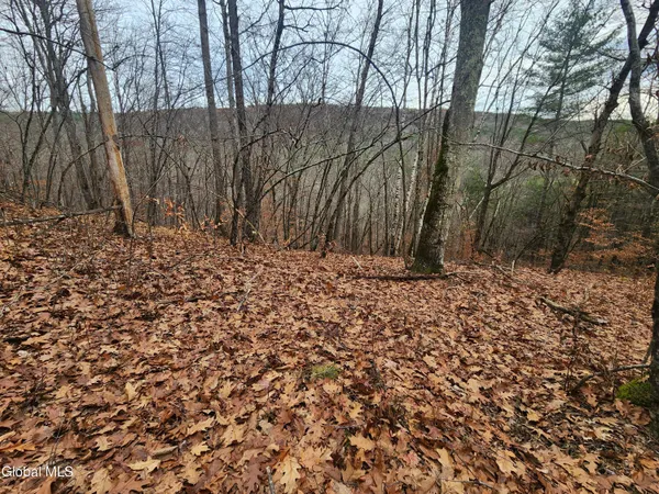 $39,000 | L12 Rebel Ridge Road, Jefferson, NY 12093