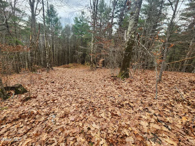 $39,000 | L12 Rebel Ridge Road, Jefferson, NY 12093