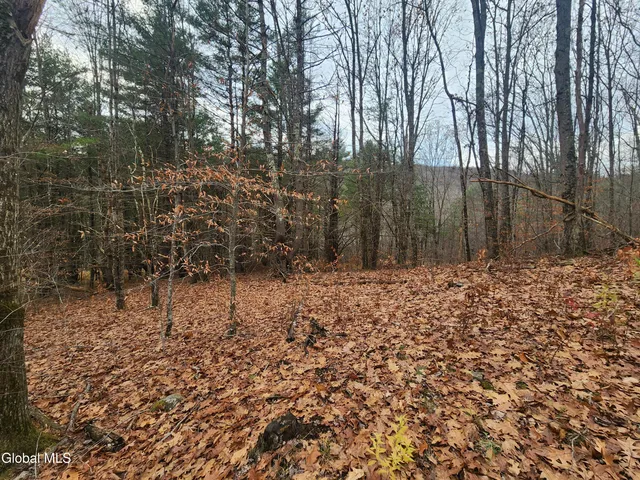 $39,000 | L12 Rebel Ridge Road, Jefferson, NY 12093