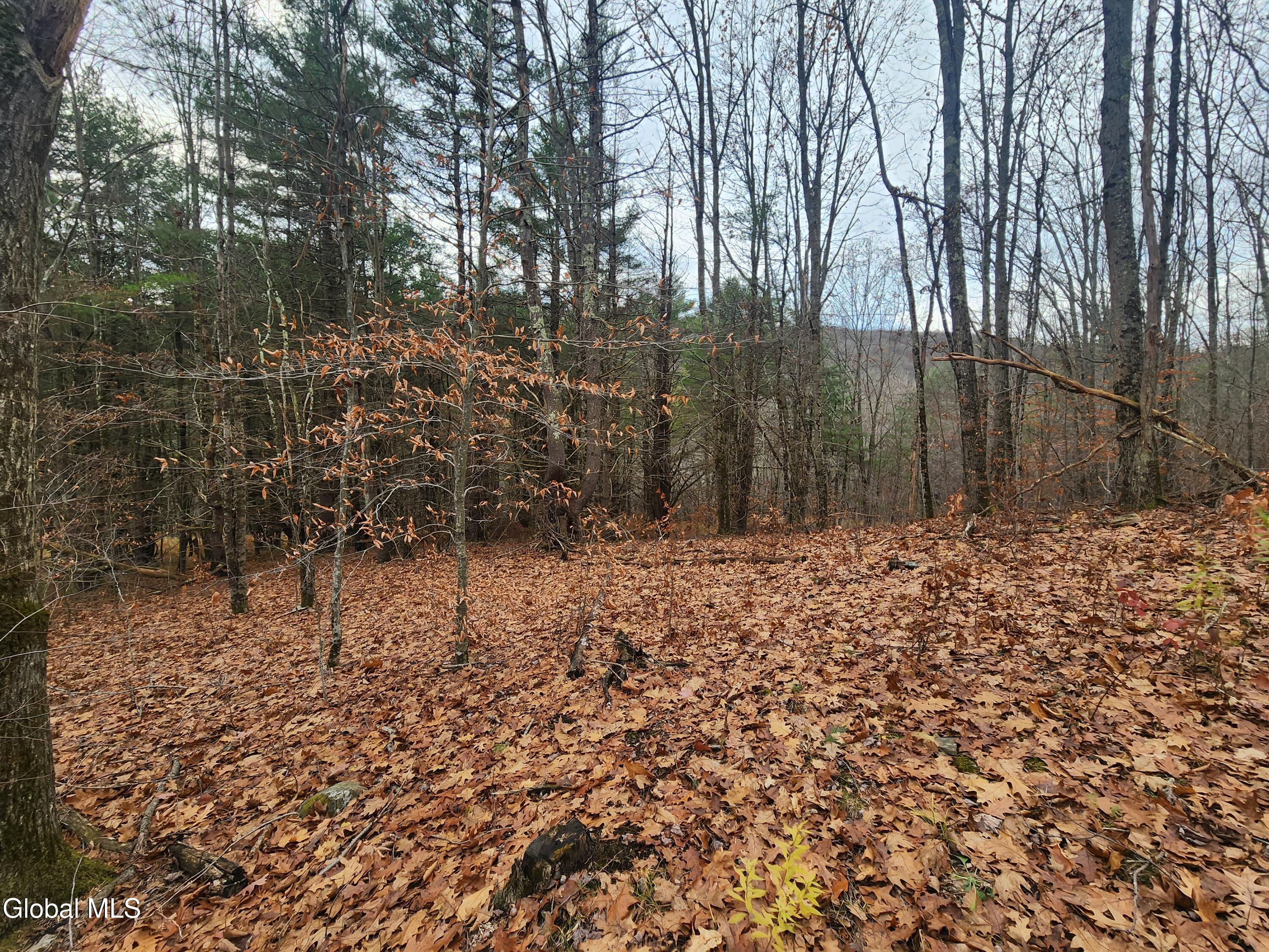 L12 Rebel Ridge Road Jefferson, NY 12093 - Photo 15 of 33 20251107_125558