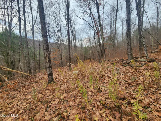 $39,000 | L12 Rebel Ridge Road, Jefferson, NY 12093