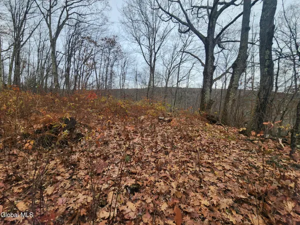 $39,000 | L12 Rebel Ridge Road, Jefferson, NY 12093