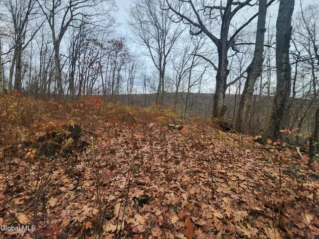 $39,000 | L12 Rebel Ridge Road, Jefferson, NY 12093