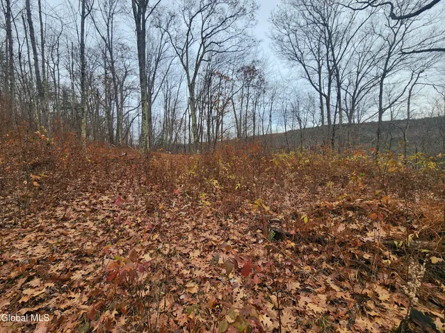 $39,000 | L12 Rebel Ridge Road, Jefferson, NY 12093