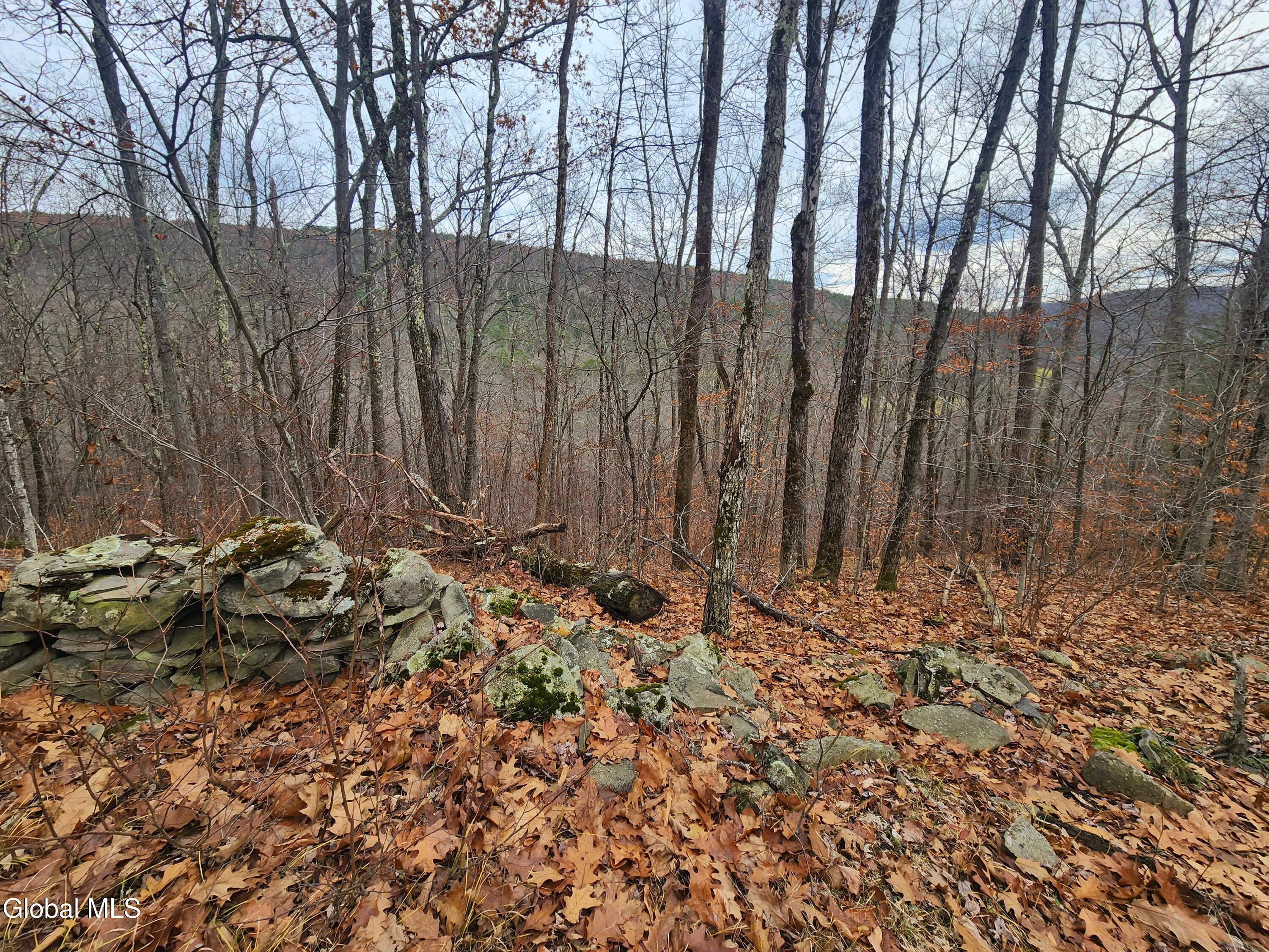 L12 Rebel Ridge Road Jefferson, NY 12093 - Photo 19 of 33 20251107_125747