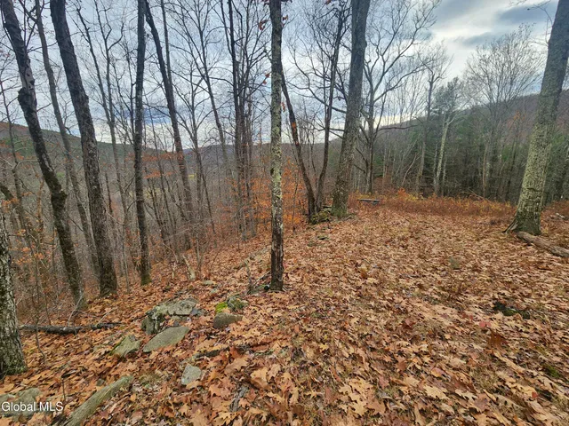$39,000 | L12 Rebel Ridge Road, Jefferson, NY 12093