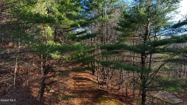 $39,000 | L12 Rebel Ridge Road, Jefferson, NY 12093