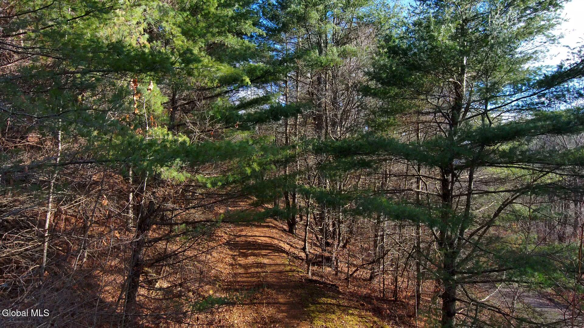 L12 Rebel Ridge Road Jefferson, NY 12093 - Photo 2 of 33 L-12 Rebel Entry