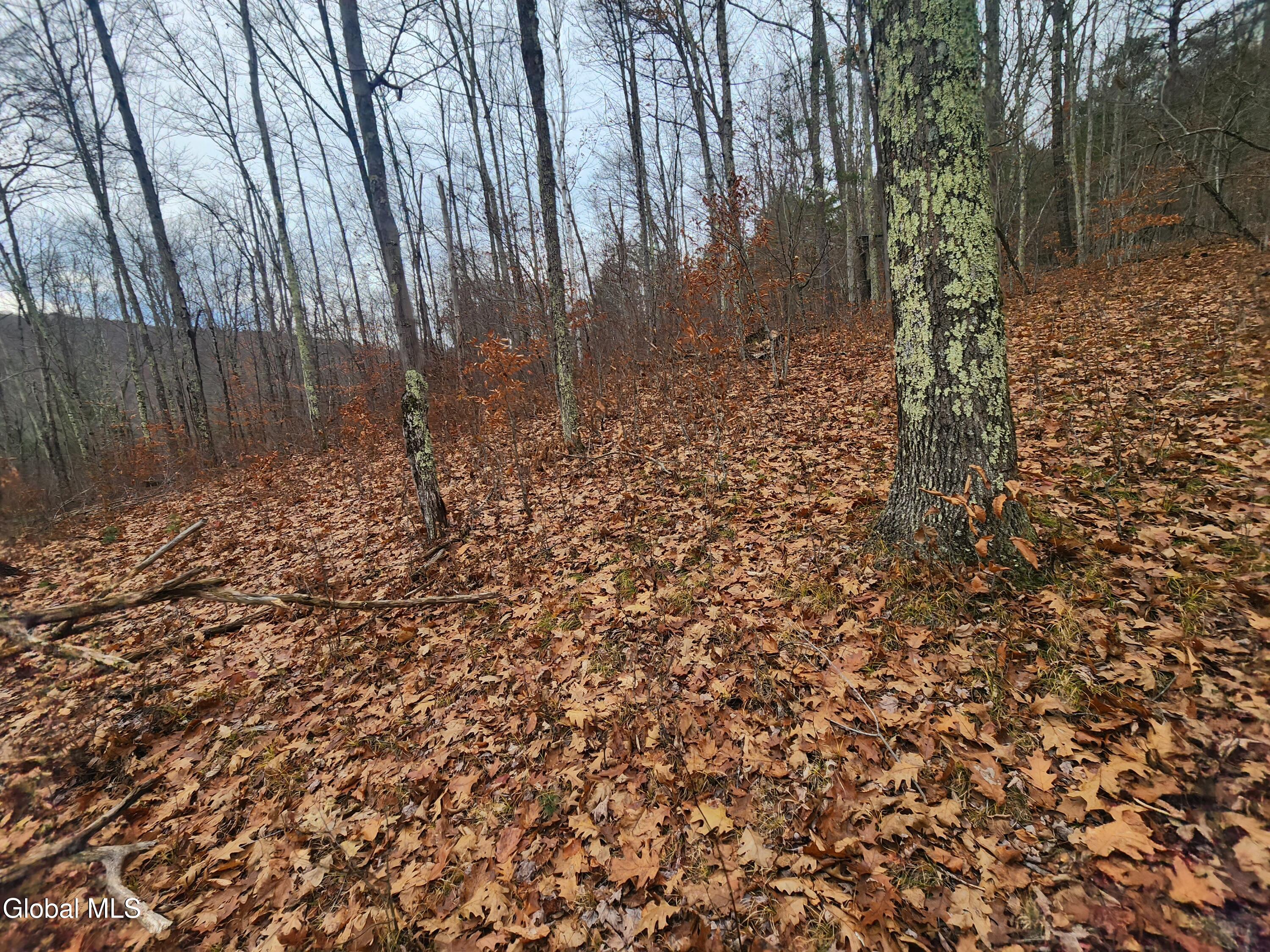 L12 Rebel Ridge Road Jefferson, NY 12093 - Photo 21 of 33 20251107_125753