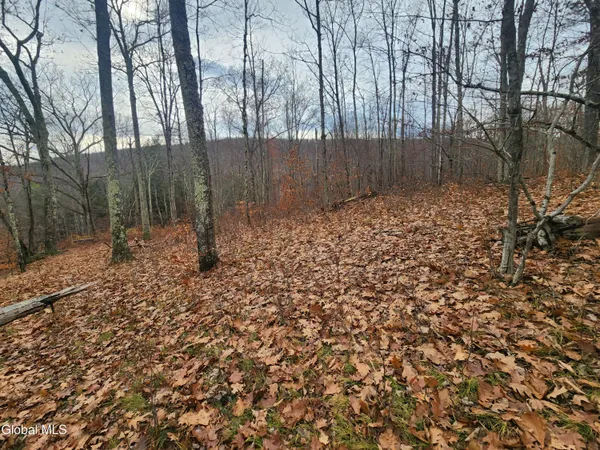 $39,000 | L12 Rebel Ridge Road, Jefferson, NY 12093