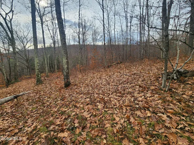 $39,000 | L12 Rebel Ridge Road, Jefferson, NY 12093