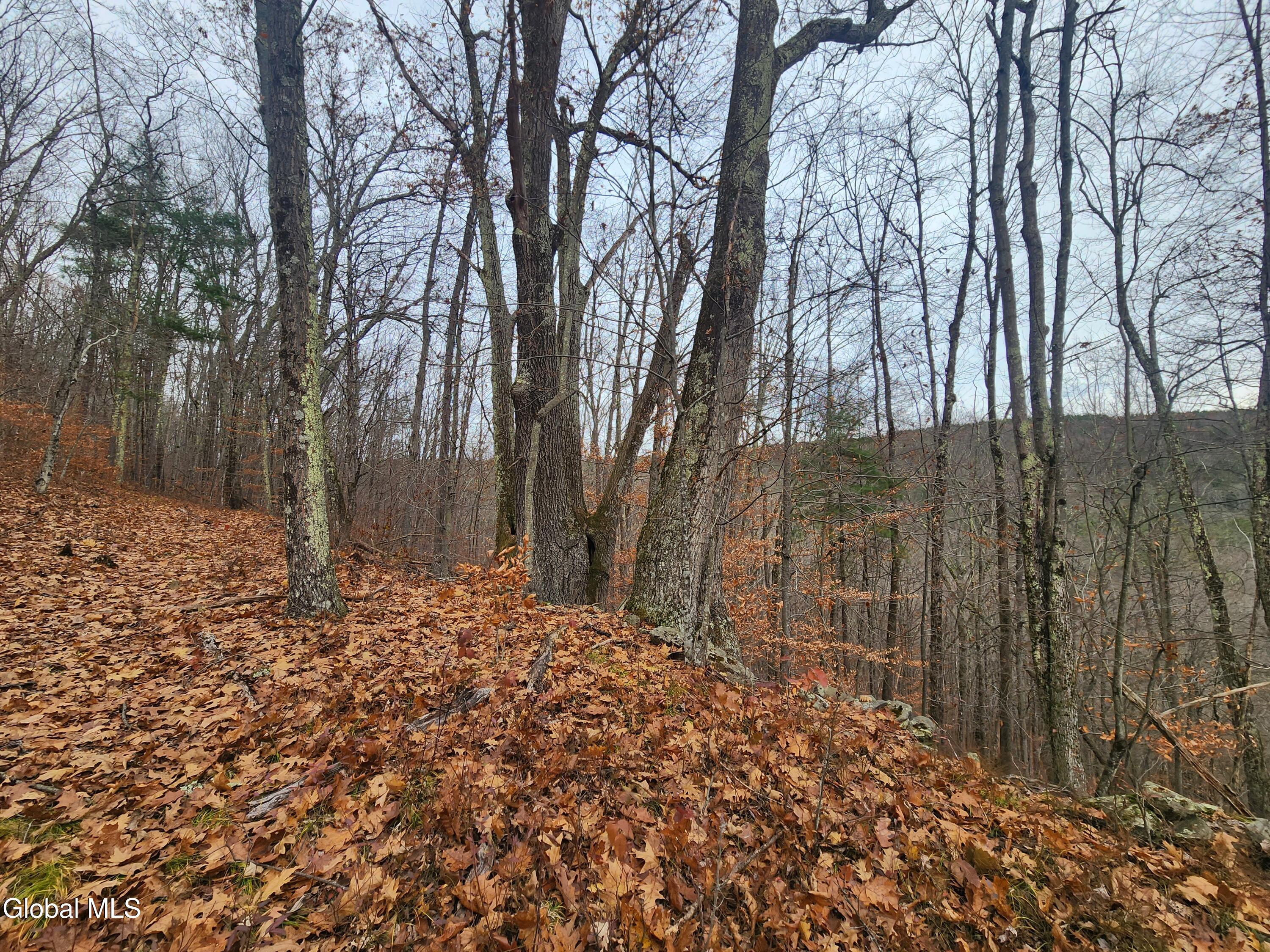 L12 Rebel Ridge Road Jefferson, NY 12093 - Photo 23 of 33 20251107_125826