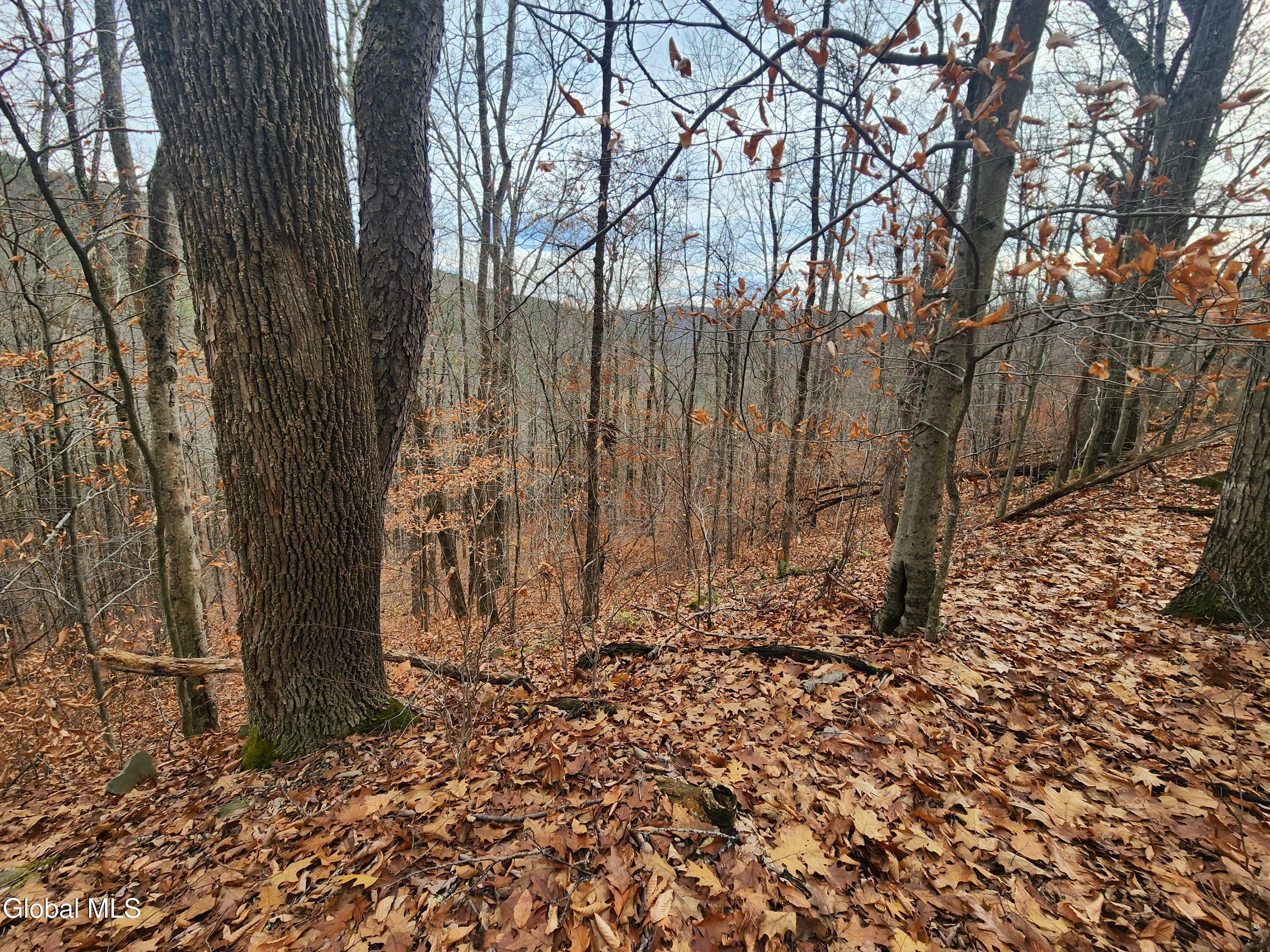 L12 Rebel Ridge Road Jefferson, NY 12093 - Photo 24 of 33 20251107_130022