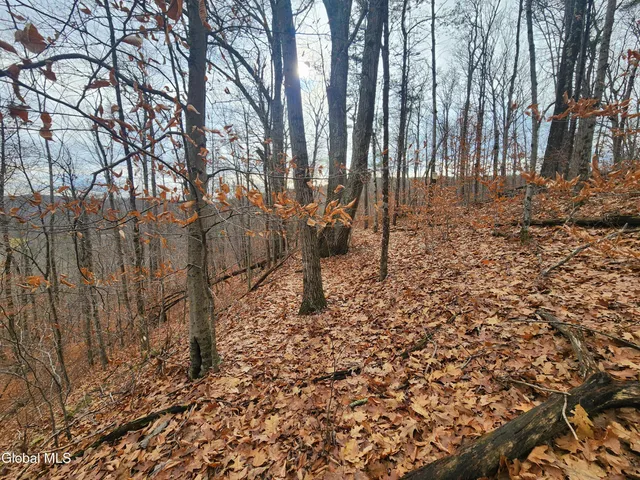 $39,000 | L12 Rebel Ridge Road, Jefferson, NY 12093