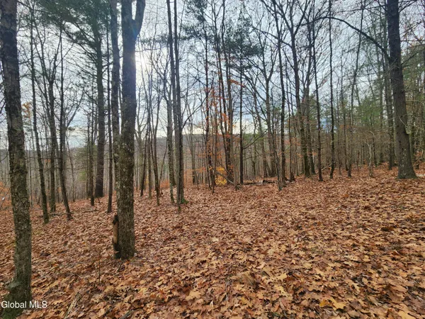 $39,000 | L12 Rebel Ridge Road, Jefferson, NY 12093