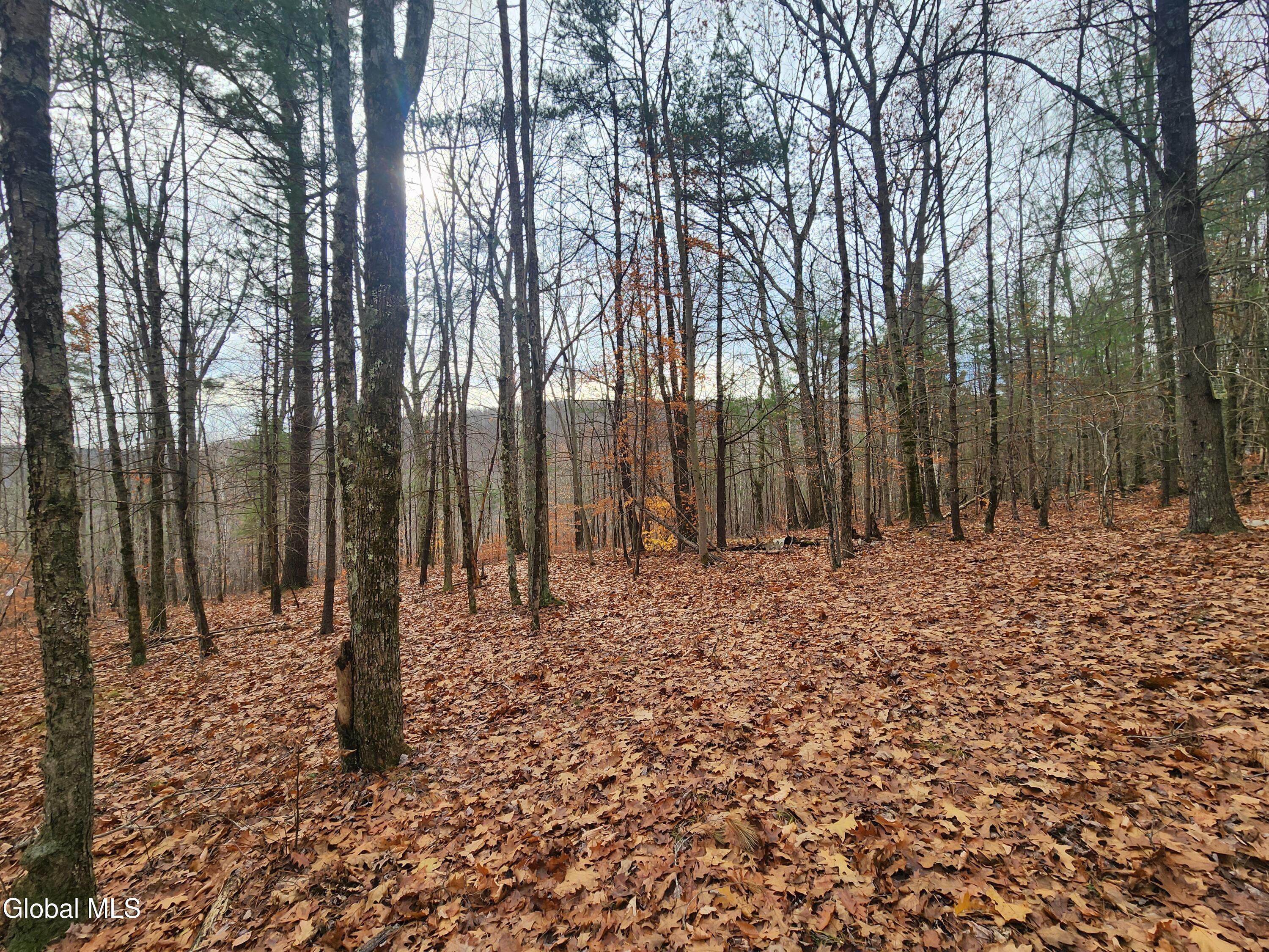 L12 Rebel Ridge Road Jefferson, NY 12093 - Photo 26 of 33 20251107_130223