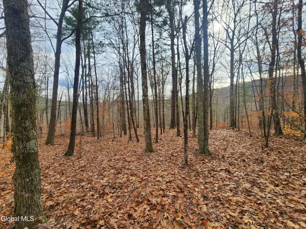 $39,000 | L12 Rebel Ridge Road, Jefferson, NY 12093