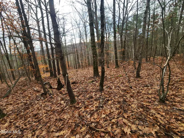 $39,000 | L12 Rebel Ridge Road, Jefferson, NY 12093