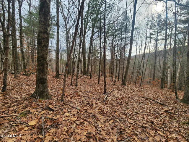 $39,000 | L12 Rebel Ridge Road, Jefferson, NY 12093