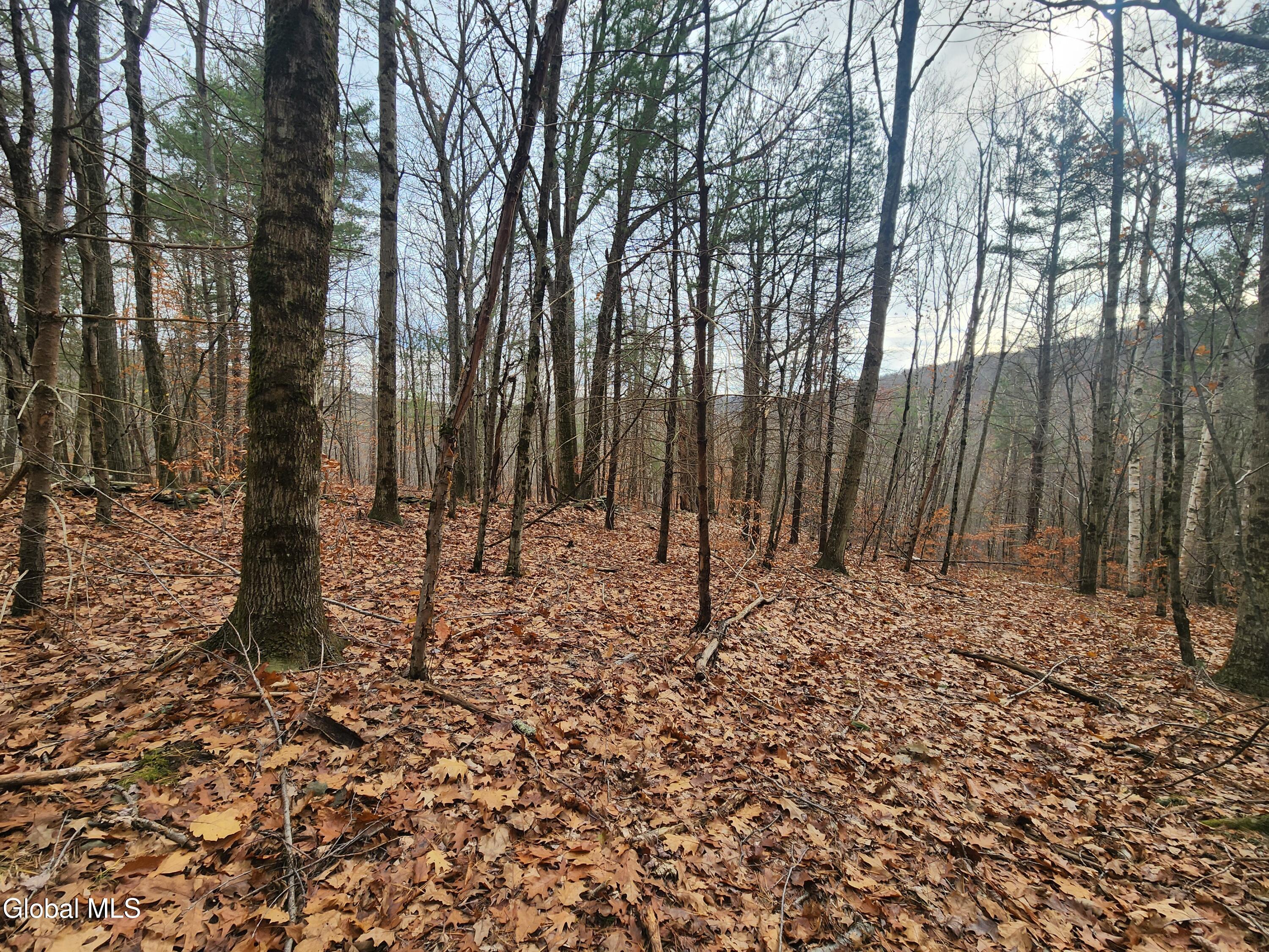 L12 Rebel Ridge Road Jefferson, NY 12093 - Photo 29 of 33 20251107_130319